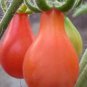 25 PCS Seeds Rare Anhui Middle Red Pear Tomato Organic
