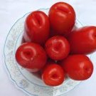 100 PCS Seeds Rare Auria Adam Tomato Hybrid 100 PCS Seeds Rare Auria Adam Tomato Hybrid