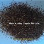 50 PCS Seeds Rare Azalea Hardy Pink Rhododendron