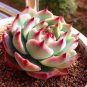 200 PCS Seeds Rare Beauty Succulents Plants Easy to Grow Potted Flower Plantas Bonsai
