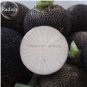 100 PCS Seeds Rare Black Small Fruit Radish with White meat
