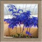 10 PCS Seeds Rare Blue Maple Tree