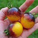300 PCS Seeds Rare Bumble Bee Heirloom Tomato