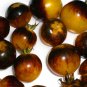 300 PCS Seeds Rare Bumble Bee Heirloom Tomato