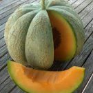 20 PCS Seeds Rare Canadian Heirloom Oka Melon Bizard Island Strain Cucumis Melo