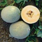 20 PCS Seeds Rare Chinese Sweet Melon