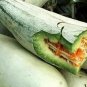 20 PCS Seeds Rare Chinese Sweet Melon