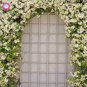 100 PCS Seeds Rare Climbing Jasmine Flower