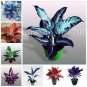100 PCS Seeds Rare Color Aglaonema Bonsai