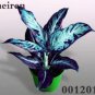 100 PCS Seeds Rare Color Aglaonema Bonsai