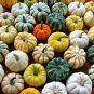 10 PCS Seeds Rare Colorful Pumpkin 'Hua Hu Lu' Ornamental Edible Vegetable