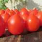 30 PCS Seeds Rare Geranium Kiss Tomato