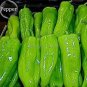 4000 PCS Seeds Rare Giant Green American Cayenne Pepper Organic