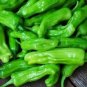 4000 PCS Seeds Rare Giant Green American Cayenne Pepper Organic