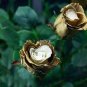 50 PCS Seeds Rare Golden Rose Flower Shrub