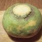 2000 PCS Seeds Rare Green Yellow Rutabaga Vegetable