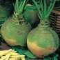 2000 PCS Seeds Rare Green Yellow Rutabaga Vegetable
