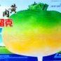 2000 PCS Seeds Rare Green Yellow Rutabaga Vegetable