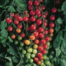 100 PCS Seeds Rare Hawaii Bright Yellow Cherry Tomato
