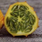 50 PCS Seeds Rare Heirloom African Horned Melon 50 PCS Seeds Rare Heirloom African Horned Melon