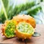 50 PCS Seeds Rare Heirloom African Horned Melon