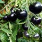 200 PCS Seeds Rare Heirloom Big Black Tomato 'Xu Fu Ji' Organic