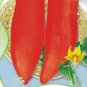 20 PCS Seeds Rare Heirloom 'OX Horn' Long Red Green Tomato Organic