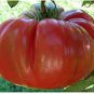 20 PCS Seeds Rare Heirloom 'OX Horn' Long Red Green Tomato Organic