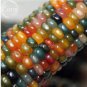 20 PCS Seeds Rare Heirloom Colorful Hybrid Corn