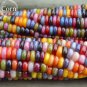 20 PCS Seeds Rare Heirloom Colorful Hybrid Corn