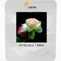 1 PCS Seeds Rare Heirloom Light Yellow Nelumbo Nucifera Lotus with Red Top Flower