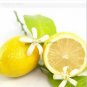 20 PCS Seeds Rare Heirloom Mixed 9 Types of Lemon Tree