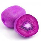 50 PCS Seeds Rare Heirloom Organic Purple Kiwi Fruit