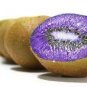 50 PCS Seeds Rare Heirloom Organic Purple Kiwi Fruit