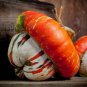 10 PCS Seeds Rare Heirloom Red White Pumpkin 'Censer'