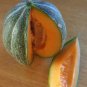 20 PCS Seeds Rare Heirloom Small Emerald Gem Melon Cucumis Melo