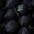 100 PCS Seeds Rare Heirloom Super Black Strawberry Organic