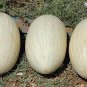 20 PCS Seeds Rare Heirloom White Skin Red Inside Sweet Watermelon 'Bai Niang Zi' Organic