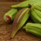 20 PCS Seeds Rare Hill Country Green Okra with red stripe herb vegetables