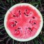 10 PCS Seeds RARE Hokkaido Black Watermelon