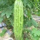 5 PCS Seeds Rare Hybrid 'Black Pearl' Bitter Melon F1