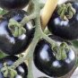 20 PCS Seeds Rare Hybrid Bright Black Tomato Middle-sized Fruit Edible Vegetables