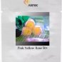 50 PCS Seeds Rare Hybrid Light Pink Yellow Rose Seedling Flower