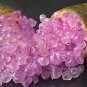 10 PCS Seeds Rare Imported Pink Rose Bliss Finger Lime Plant