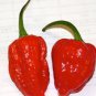 50 PCS Seeds Rare Indian Ghost Chili Pepper Seeds the Hottest Pepper in the World