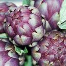 4 PCS Seeds Rare Italian Artichoke 4 PCS Seeds Rare Italian Artichoke
