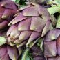 4 PCS Seeds Rare Italian Artichoke