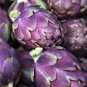 4 PCS Seeds Rare Italian Artichoke