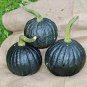 8 PCS Seeds Rare Japanese Black Pumpkin Organic Non-gmo Heirloom Vegetables