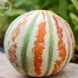 10 PCS Seeds Rare Kajari Sweet Melon Fruit